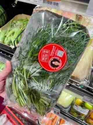 Easy Lemony Agretti Salad (Monk's Beard)